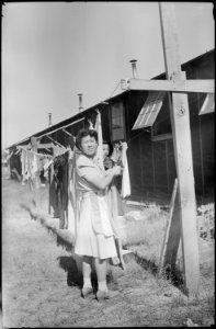 Tule Lake Relocation Center, Newell, California. Wash day - NARA - 539440