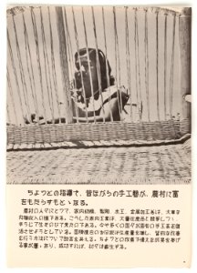 U.N. Day Poster -9 - NARA - 5730111