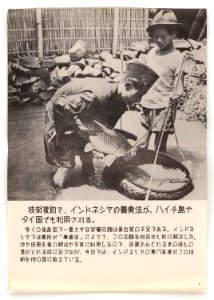 U.N. Day Poster -5 - NARA - 5730107