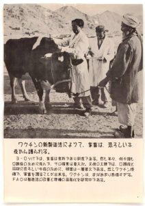 U.N. Day Poster -7 - NARA - 5730109