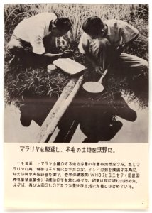 U.N. Day Poster -8 - NARA - 5730110