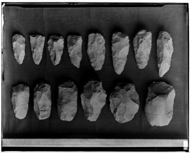Umatilla stone implements - NARA - 523711