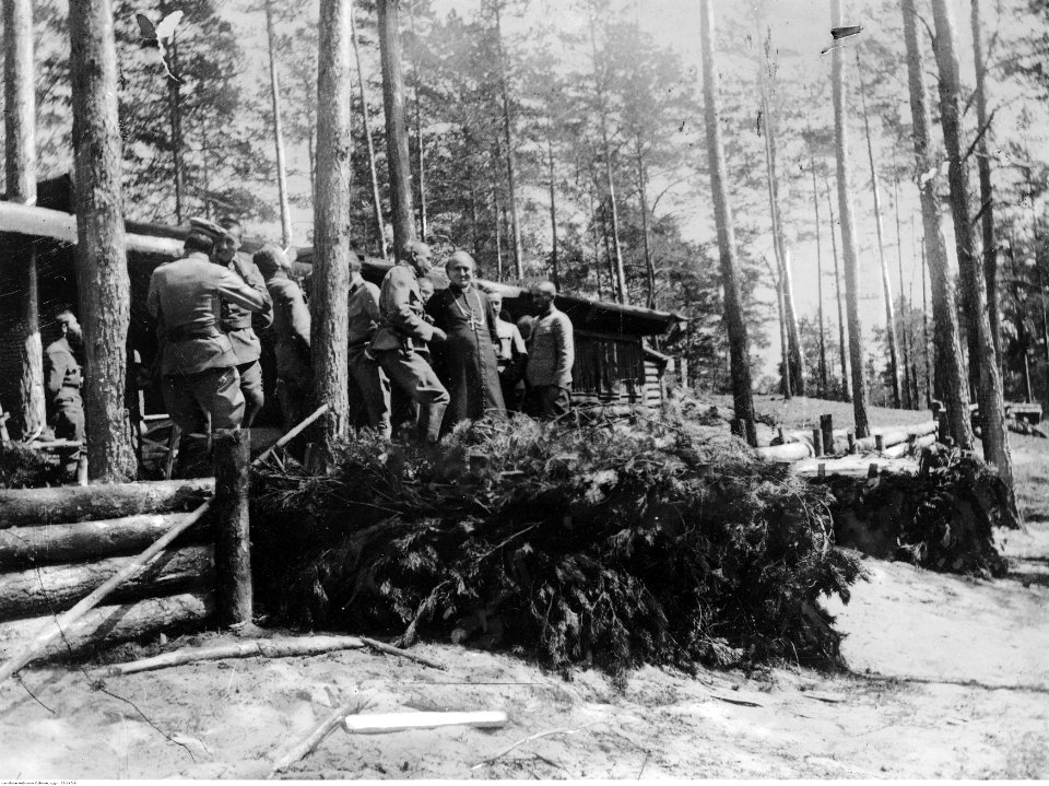 Uroczystości z okazji rocznicy powstania 4 pułku Legionów i ostatecznego uznania 7 pułku Legionów na tzw. Rojowym Osiedlu zbudowanym przez żołnierzy Legionów koło miejscowości Optowa (22-145-8)
