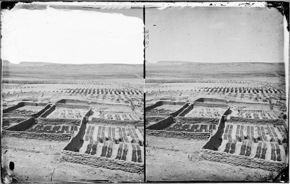 Vegetable gardens surrounding the Indian Pueblo of Zuni, New Mexico 1873 - NARA - 519765