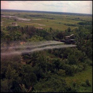 Vietnam. Defoliation Mission. A UH-1D helicopter from the 336th Aviation Company sprays a defoliation agent on a... - NARA - 530626