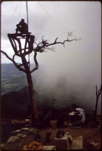 Vietnam....A Marine stands watch in an observation tower as Lieutenant Commander McElroy, the 3rd Battalion, 26th... - NARA - 532465