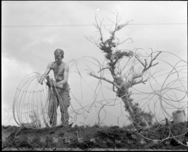 Vietnam....A member of the 1st Brigade, 5th Infantry Division (Mechanized), takes down barbed tape (a modified form... - NARA - 531456 photo