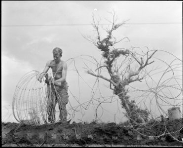 Vietnam....A member of the 1st Brigade, 5th Infantry Division (Mechanized), takes down barbed tape (a modified form... - NARA - 531456