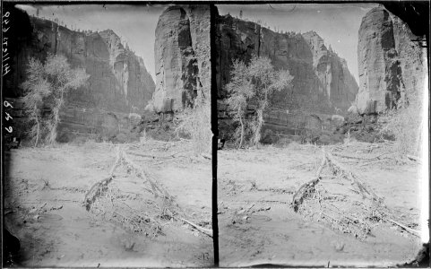 Virgin River. West Fork, Mookvoutuweap or Little Zion, upper end. Old nos. 445, 446, 649. - NARA - 517894