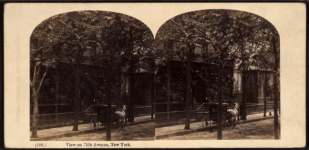 View on Fifth Avenue, New York(carriage in front of houses, trees in foreground), by Bierstadt Brothers