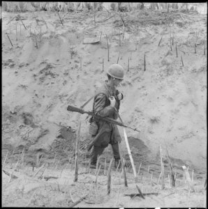 Vietnam....Marines of Company H, 2nd Battalion, 4th Regiment, walk through a punji-staked gully. - NARA - 532439