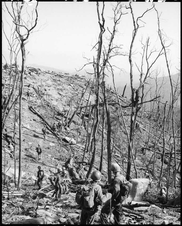 Vietnam.... Members of the 1st ARVN Division move along a trail during an assault operation near Fire Support Base... - NARA - 531466