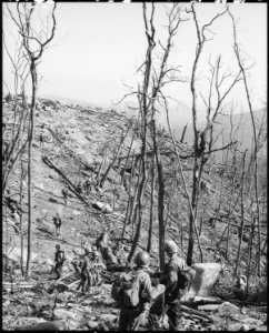 Vietnam.... Members of the 1st ARVN Division move along a trail during an assault operation near Fire Support Base... - NARA - 531466