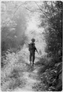 Vietnam....A Marine walking point for his unit during Operation Macon moves slowly, cautious of enemy pitfalls. - NARA - 532445