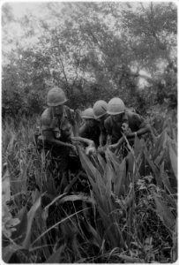 Vietnam....Members of Company B, 4th Battalion, 12th Infantry, 199th infantry Brigade, carry a wounded member of the... - NARA - 531461 photo