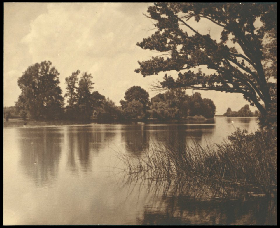 W parku, Stary Otwock 1920-1929 (41298683)