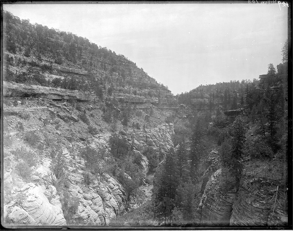 Walnut Canyon in Aubrey Limestone and cross-bedded sandstone, Arizona. Shows cliff dwellings, Old - NARA - 517777