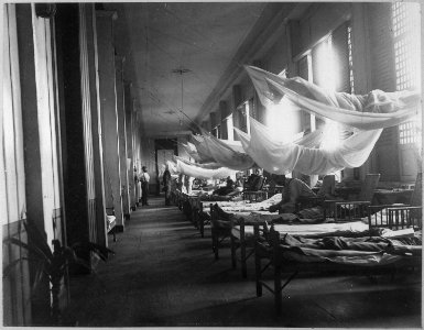 Ward, 2nd Reserve Hospital. Greely Collection, ca. 1899 - NARA - 524392 photo