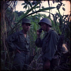 Vietnam. Vietnamese army personnel training in the jungle. - NARA - 530607 photo