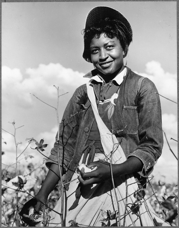 Washington County, Mississippi. Delta-Pine Land Company. (African-American woman) picking cotton on Delta land that... - NARA - 512796