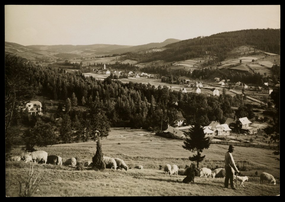 Wisla na Slasku ante 1939 (66235470)