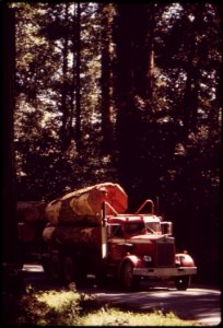 WITHIN A MILE OF MAGNIFICENT REDWOODS ARE SITES OF SOME OF THE WORST LOGGING AND CLEAR CUTTING - NARA - 542854 photo