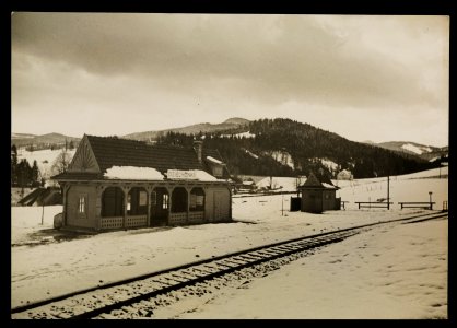 Wisla, przystanek Dziechcinka 1937 (66235623)