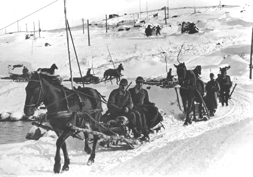 Wojska niemieckie w marszu przez tundrę (2-767)