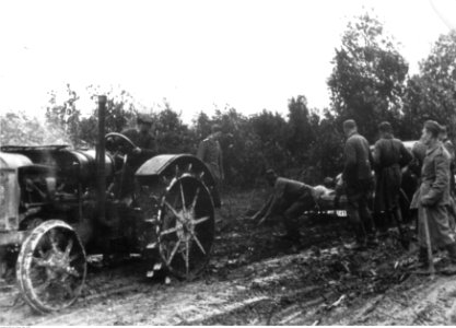 Wojska niemieckie w trudnym terenie pod Leningradem (2-869)