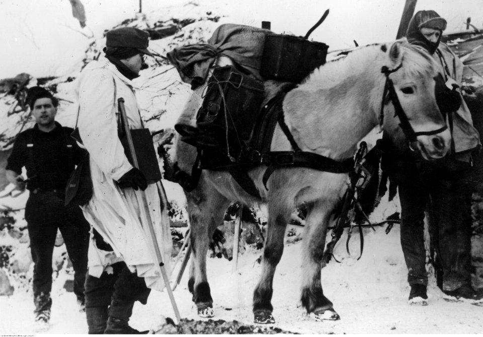 Wojska niemieckie przed wymarszem na front wschodni zimą (2-1114)