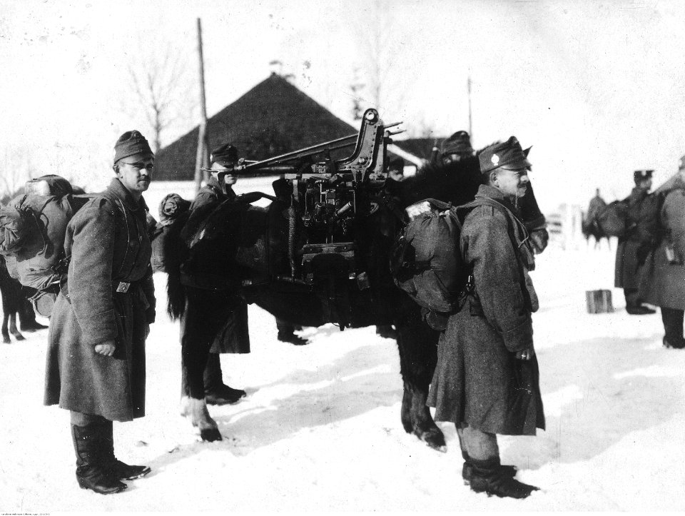 Wojsko austro-węgierskie (22-108-3)