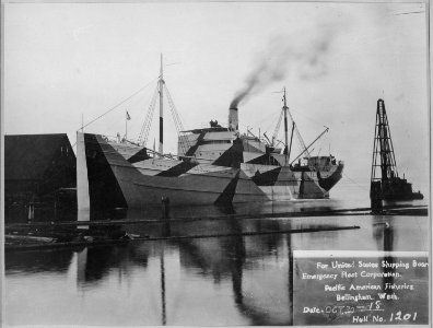 Wooden ship built for United States Shipping Board Emergency Fleet Corporation, by Pacific American Fisheries, Bellingha - NARA - 533163 photo