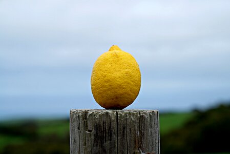 Yellow freshness blue lemon