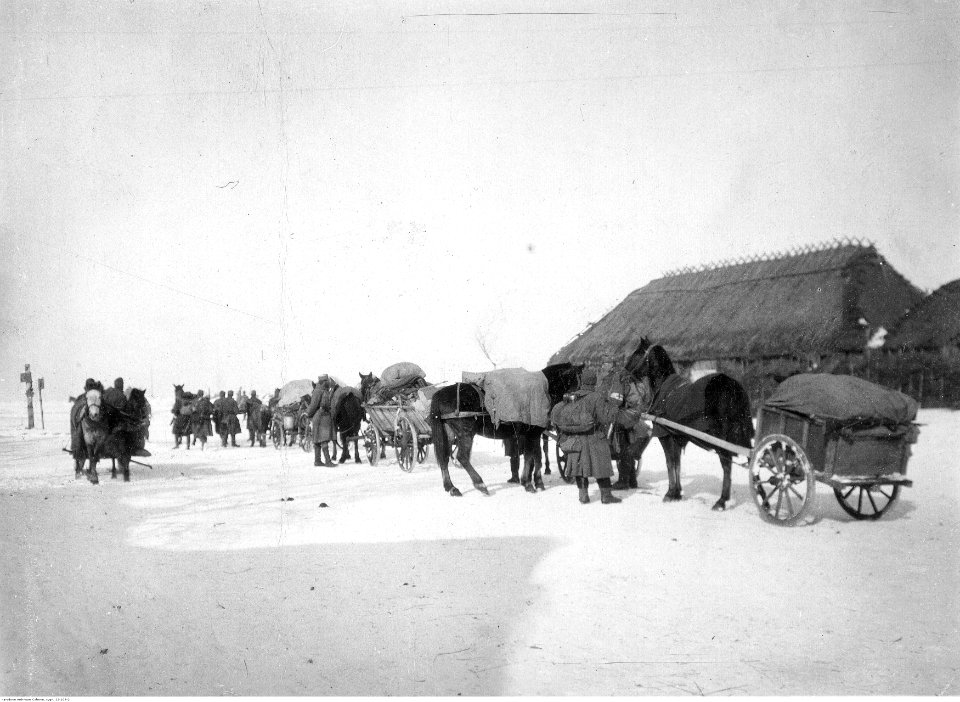 Wojsko austro-węgierskie (22-108-2)