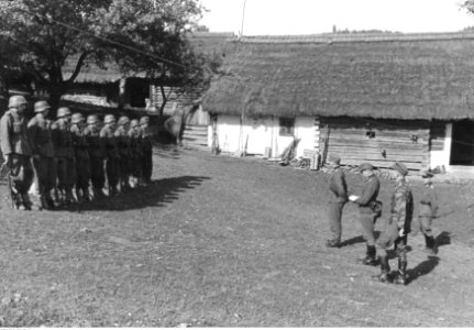 Wojska niemieckie w rejonie na zachód od Krosna (2-775)