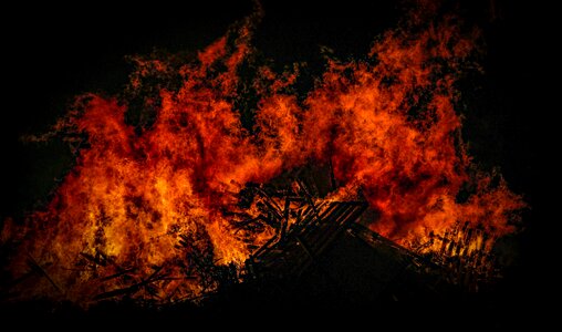 Campfire dark night photo