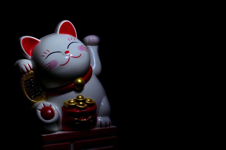 Culture cat traditional