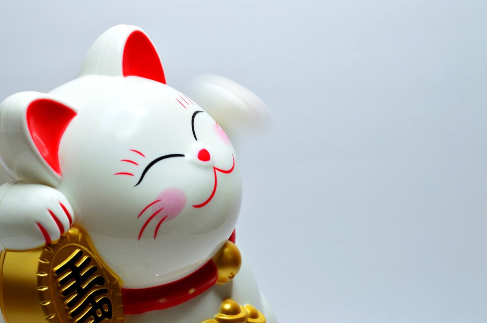 Culture cat traditional