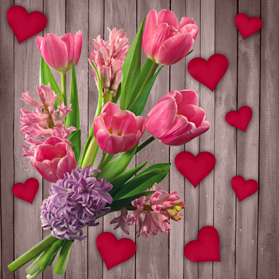 Plant floral wood