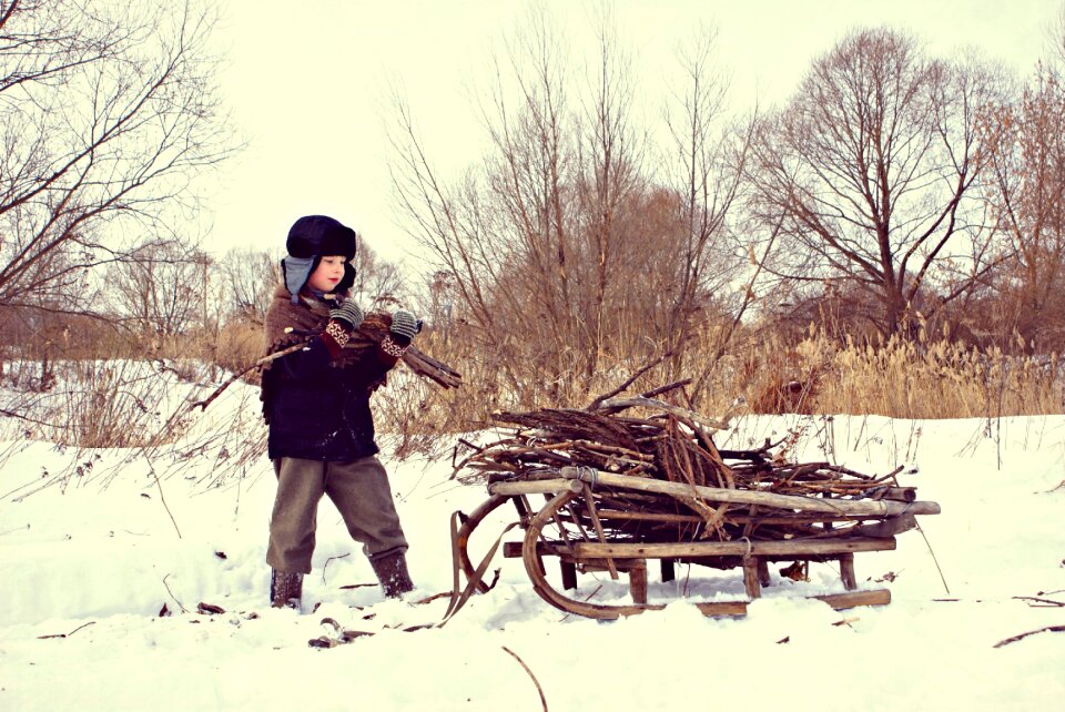 Sani village firewood