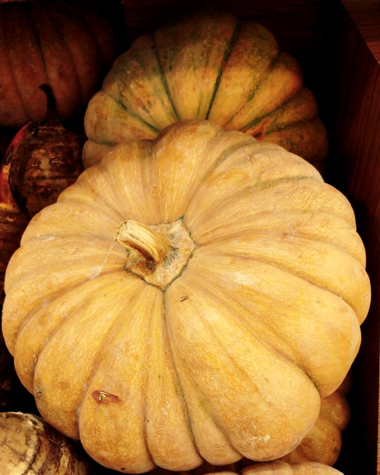 Autumn vegetable food