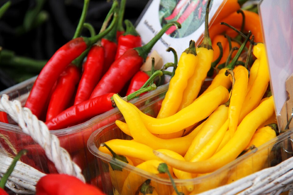 Scandinavia market autumn