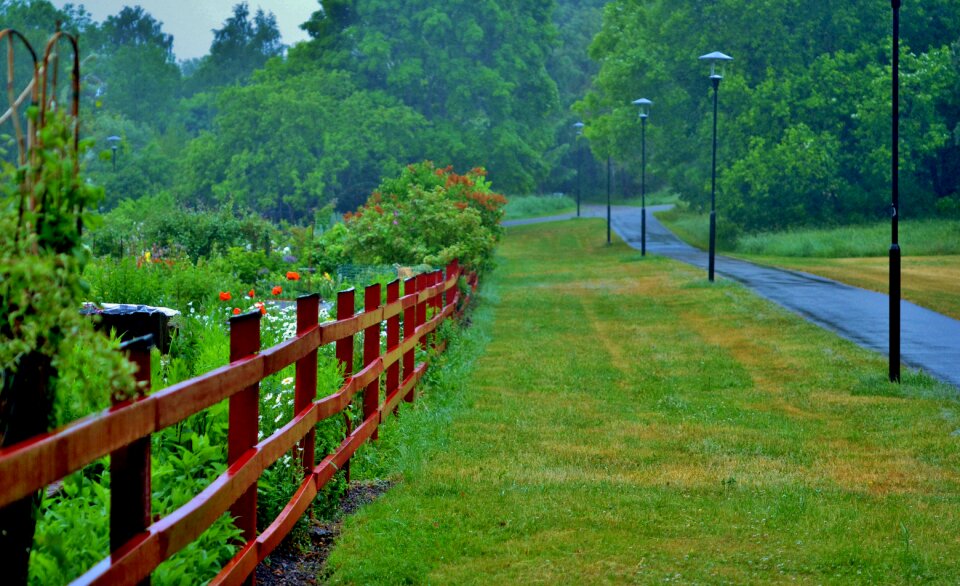 Landscape natural green