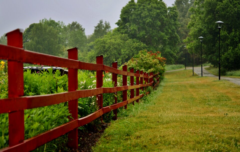 Landscape natural green photo