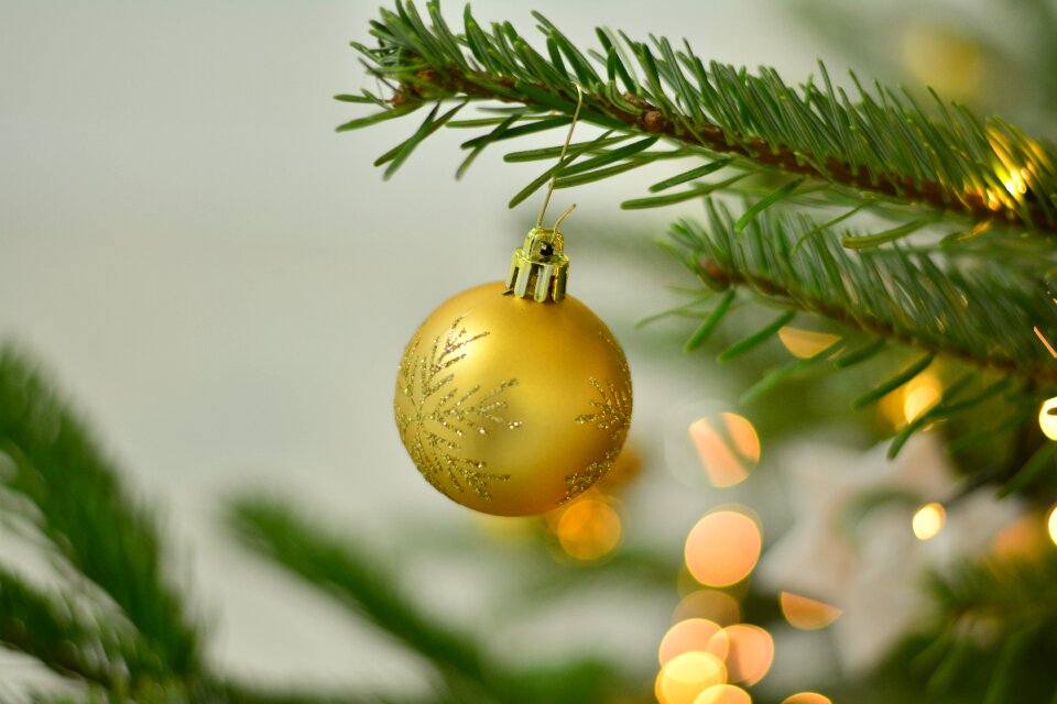Fir tree christmas time christmas decorations
