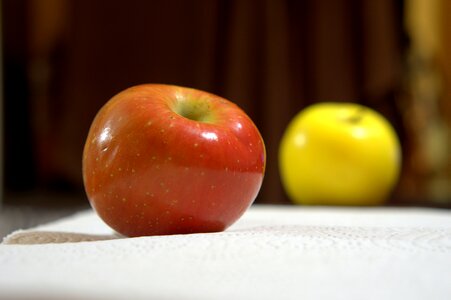 Food malus domestica fruit