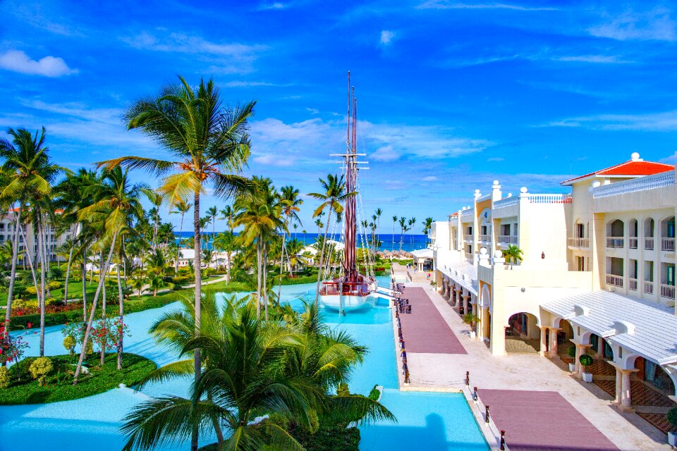 Tropics palm trees vacation