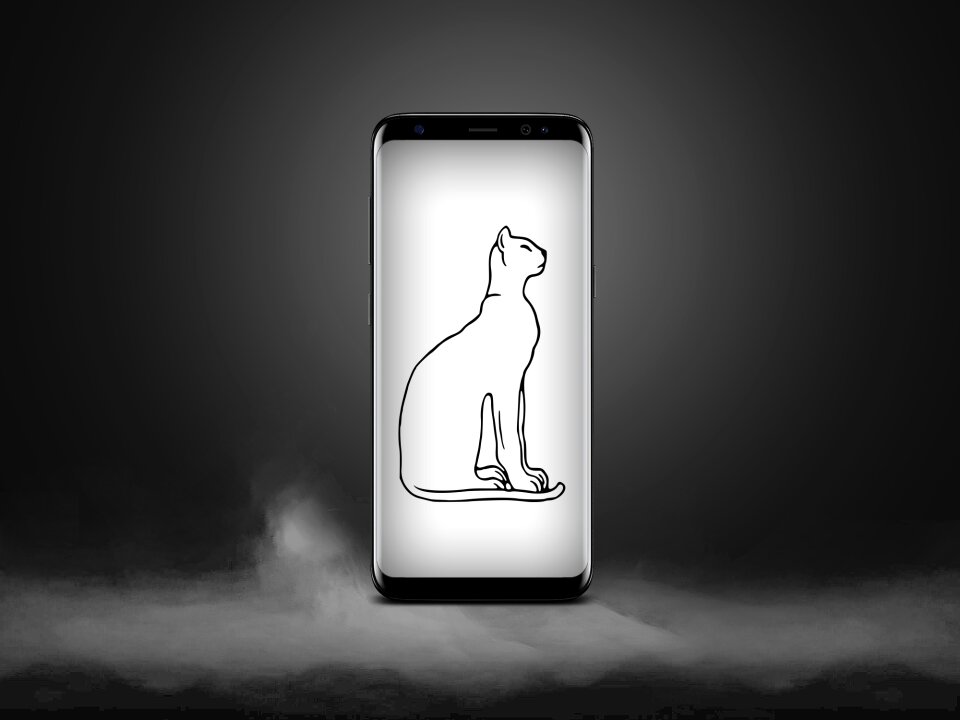 Cat phone animal