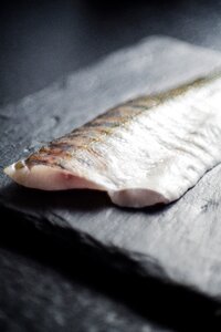 Gray fish gray meat gray fishing