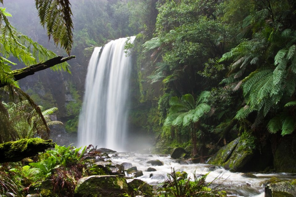 Nature stream river